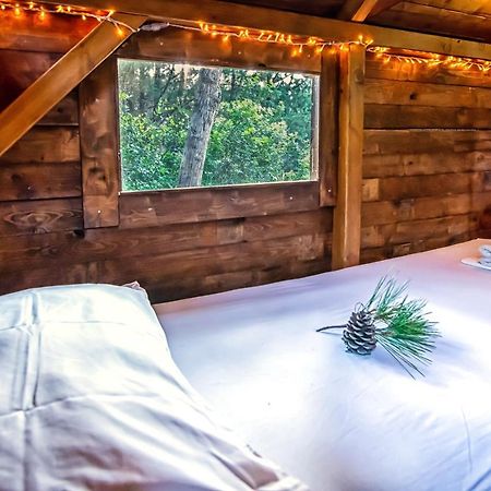Drolma Ling Nature Cabins Theologos  Luaran gambar