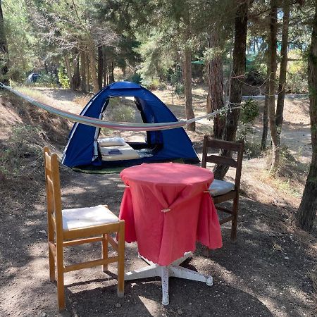 Drolma Ling Nature Cabins Theologos  Luaran gambar