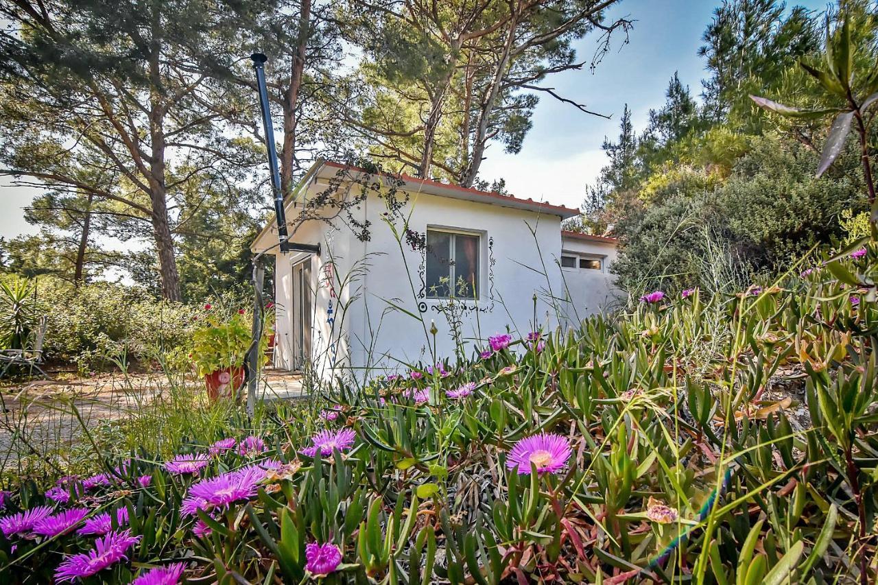 Drolma Ling Nature Cabins Theologos  Luaran gambar