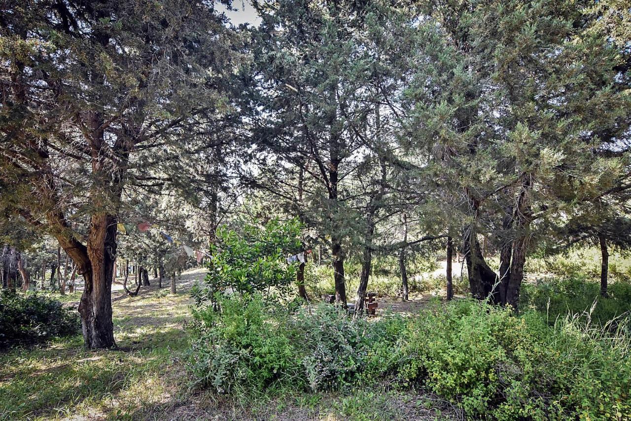 Drolma Ling Nature Cabins Theologos  Luaran gambar
