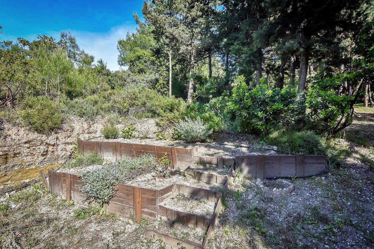 Drolma Ling Nature Cabins Theologos  Luaran gambar