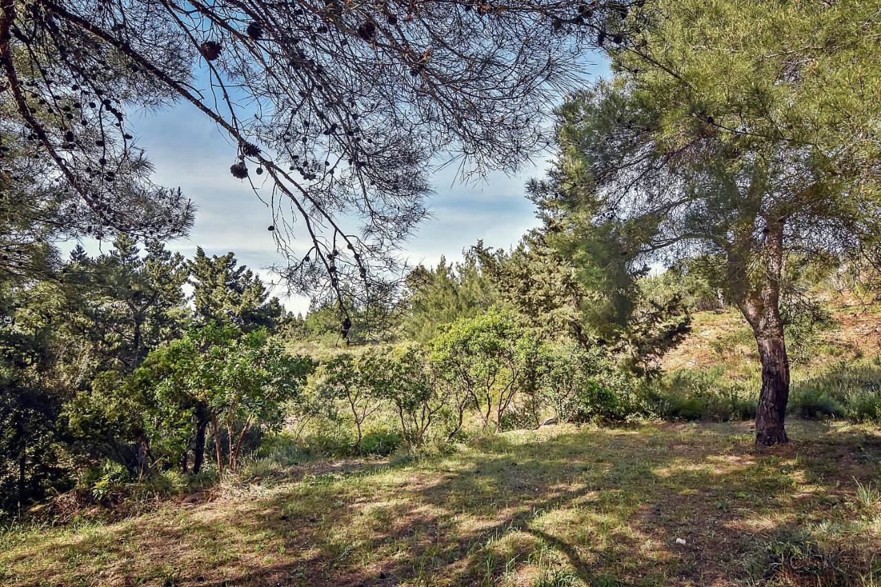 Drolma Ling Nature Cabins Theologos  Luaran gambar