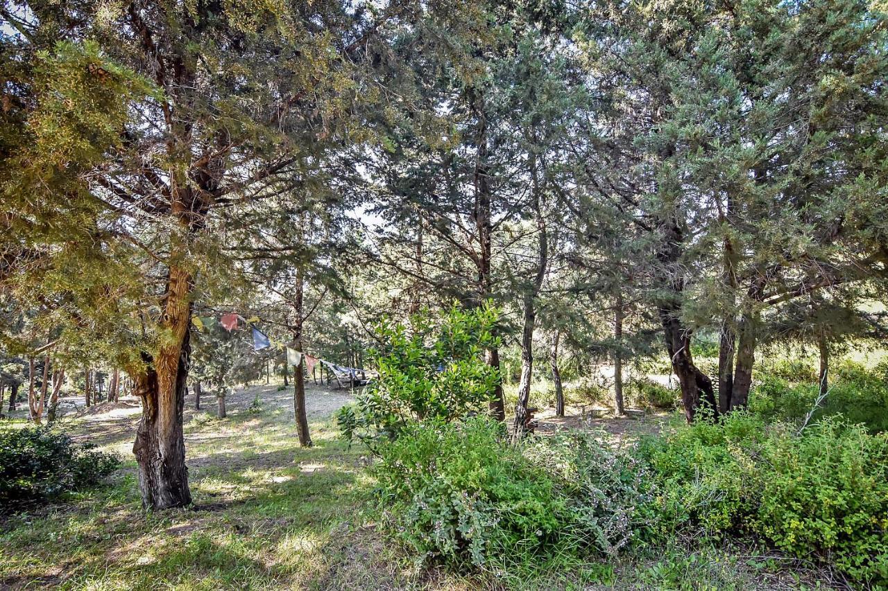 Drolma Ling Nature Cabins Theologos  Luaran gambar