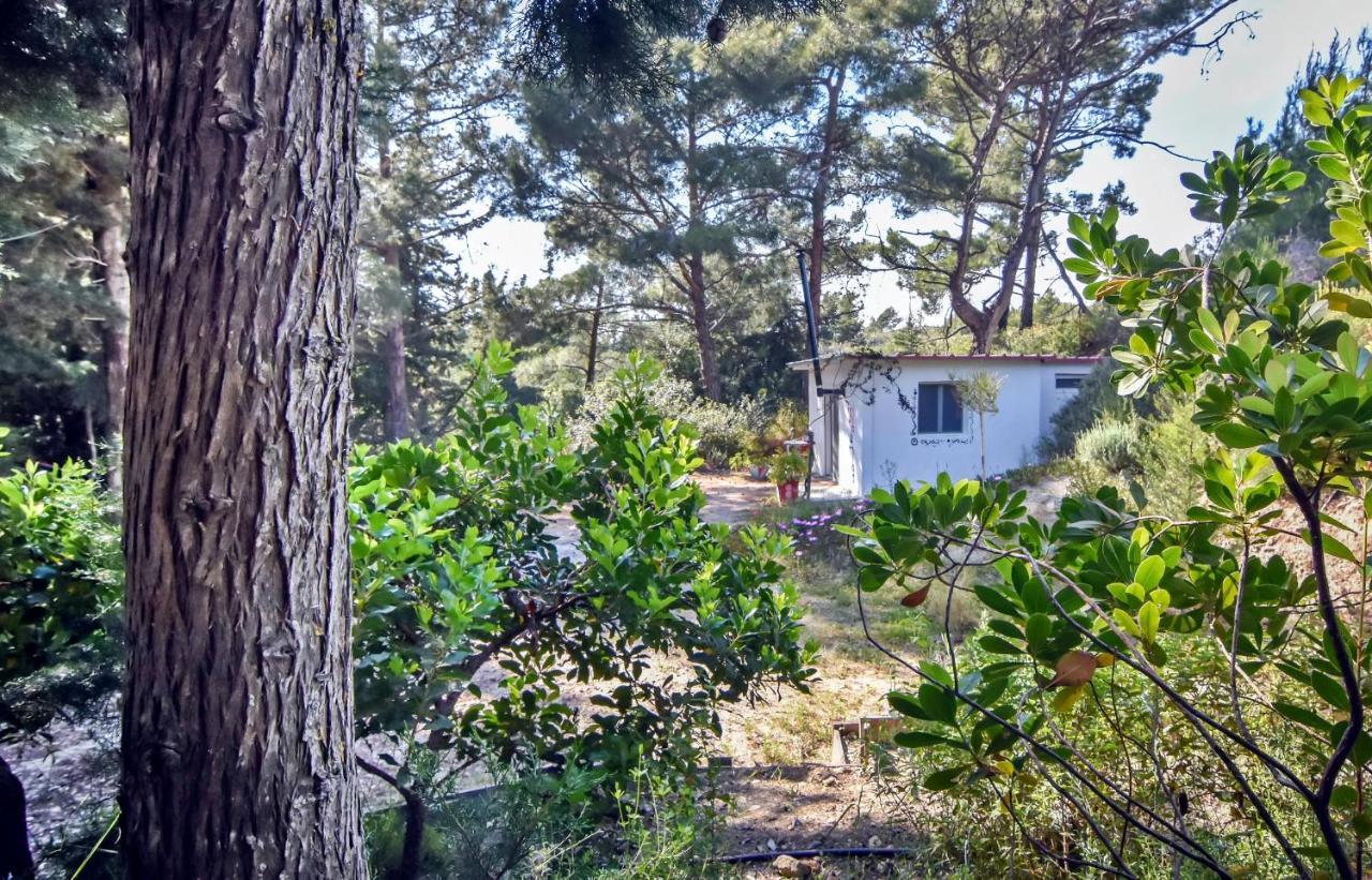 Drolma Ling Nature Cabins Theologos  Luaran gambar