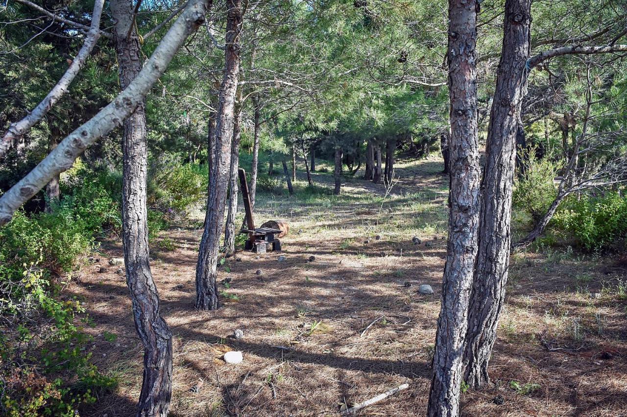 Drolma Ling Nature Cabins Theologos  Luaran gambar