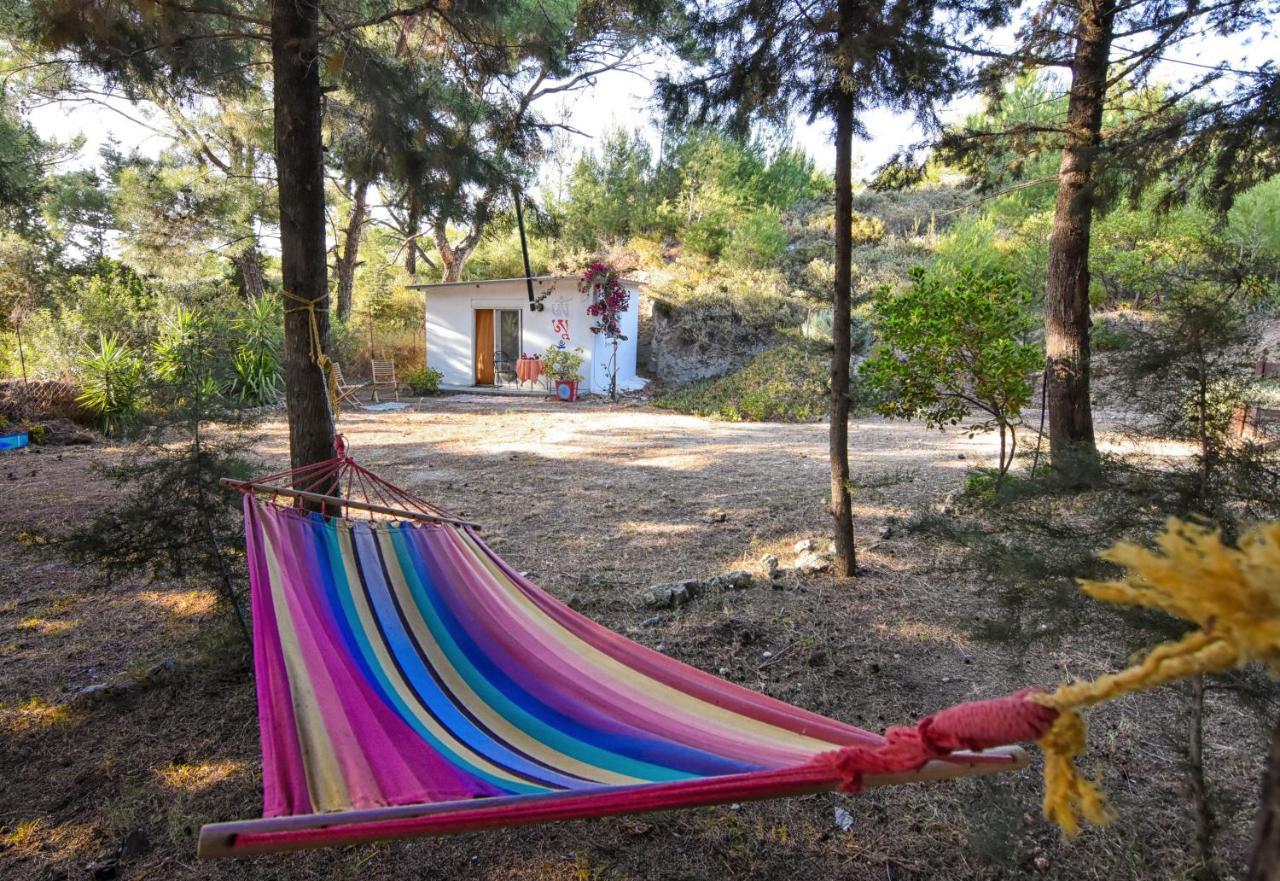 Drolma Ling Nature Cabins Theologos  Luaran gambar