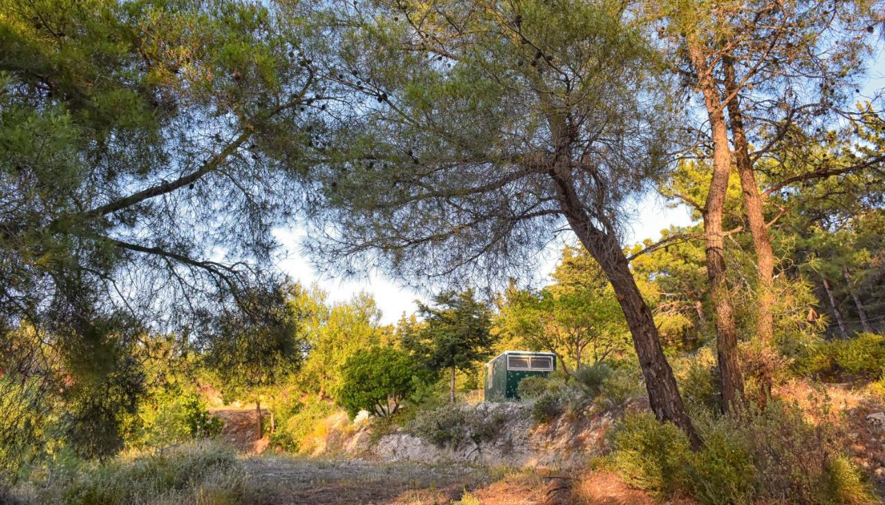 Drolma Ling Nature Cabins Theologos  Luaran gambar