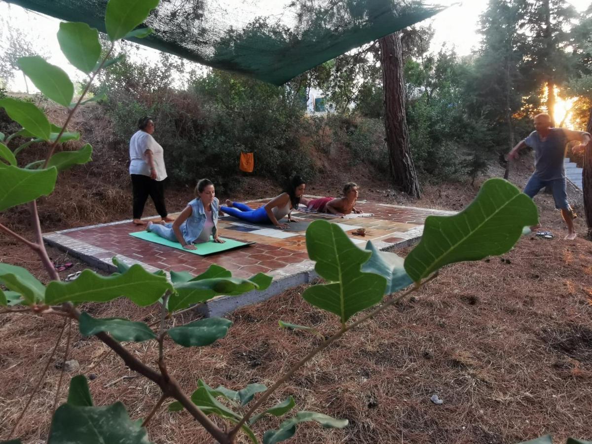 Drolma Ling Nature Cabins Theologos  Luaran gambar