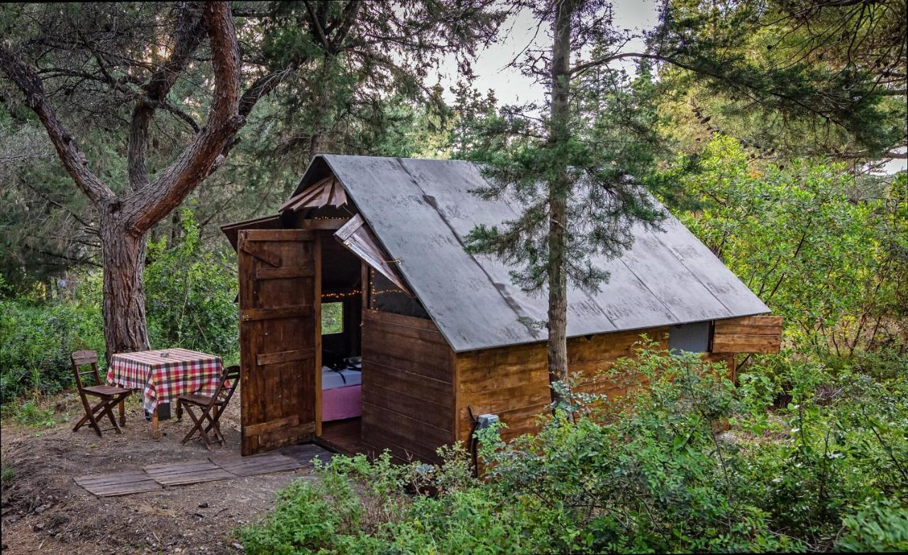 Drolma Ling Nature Cabins Theologos  Luaran gambar
