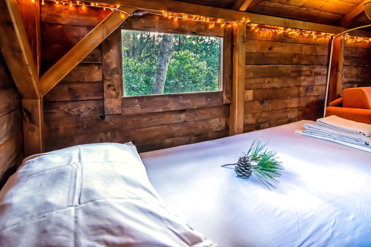 Drolma Ling Nature Cabins Theologos  Luaran gambar