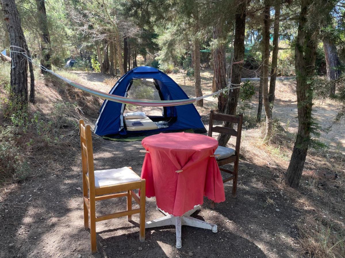 Drolma Ling Nature Cabins Theologos  Luaran gambar