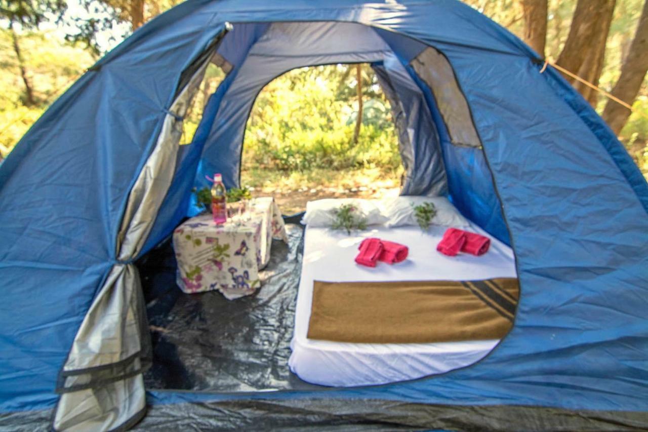 Drolma Ling Nature Cabins Theologos  Luaran gambar