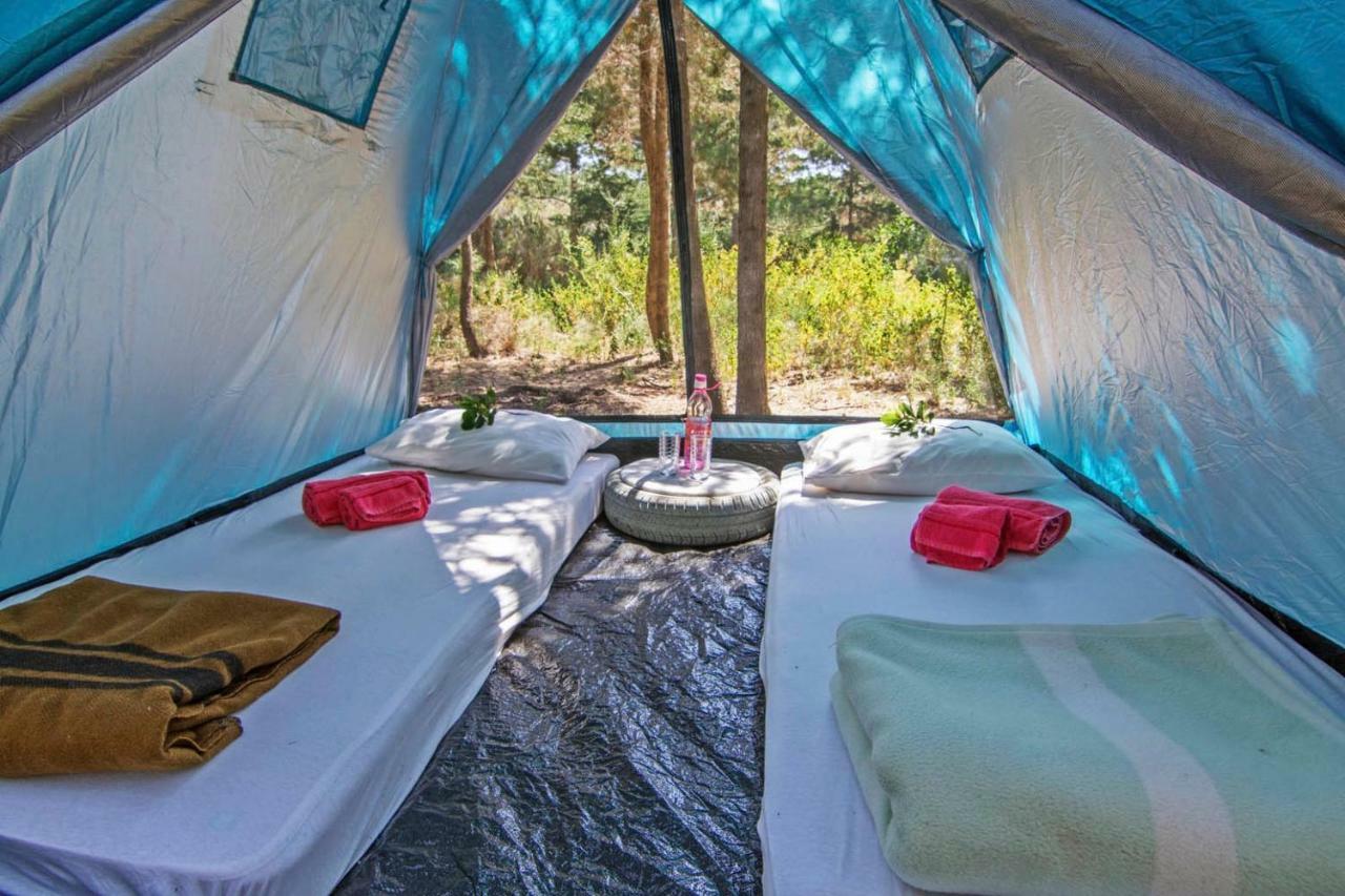 Drolma Ling Nature Cabins Theologos  Luaran gambar